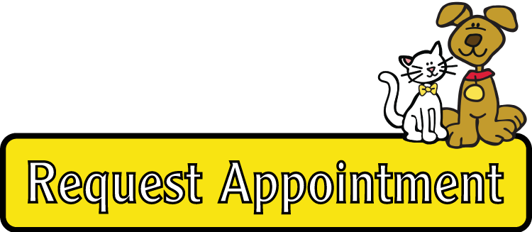 request_appointment
