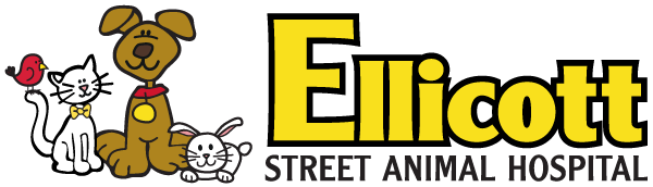 Ellicott Street Animal Hospital